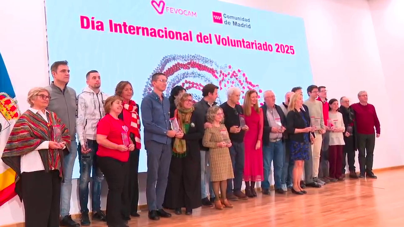 La Comunidad de Madrid reconoce con 12 premios la labor del voluntariado