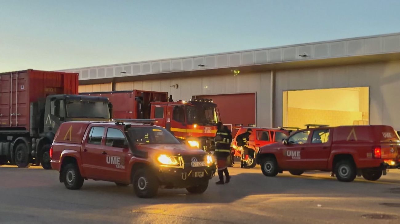 Despliegue de la UME en Cataluña para tratar de controlar el brote de peste porcina