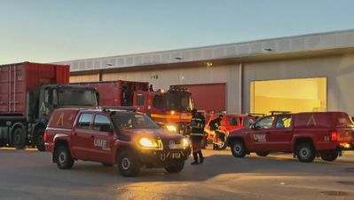 Despliegue de la UME en Cataluña para tratar de controlar el brote de peste porcina