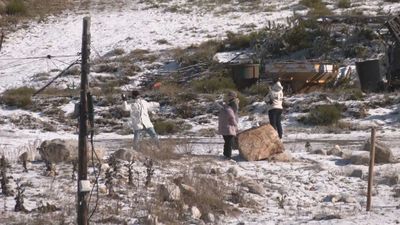 Subimos hasta el Puerto de Navacerrada para disfrutar de un primero de diciembre muy soleado