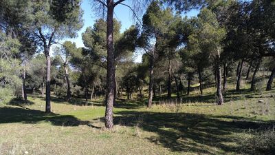 Majadahonda prepara ahora su dehesa para evitar incendios en verano