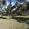 Majadahonda prepara ahora su dehesa para evitar incendios en verano