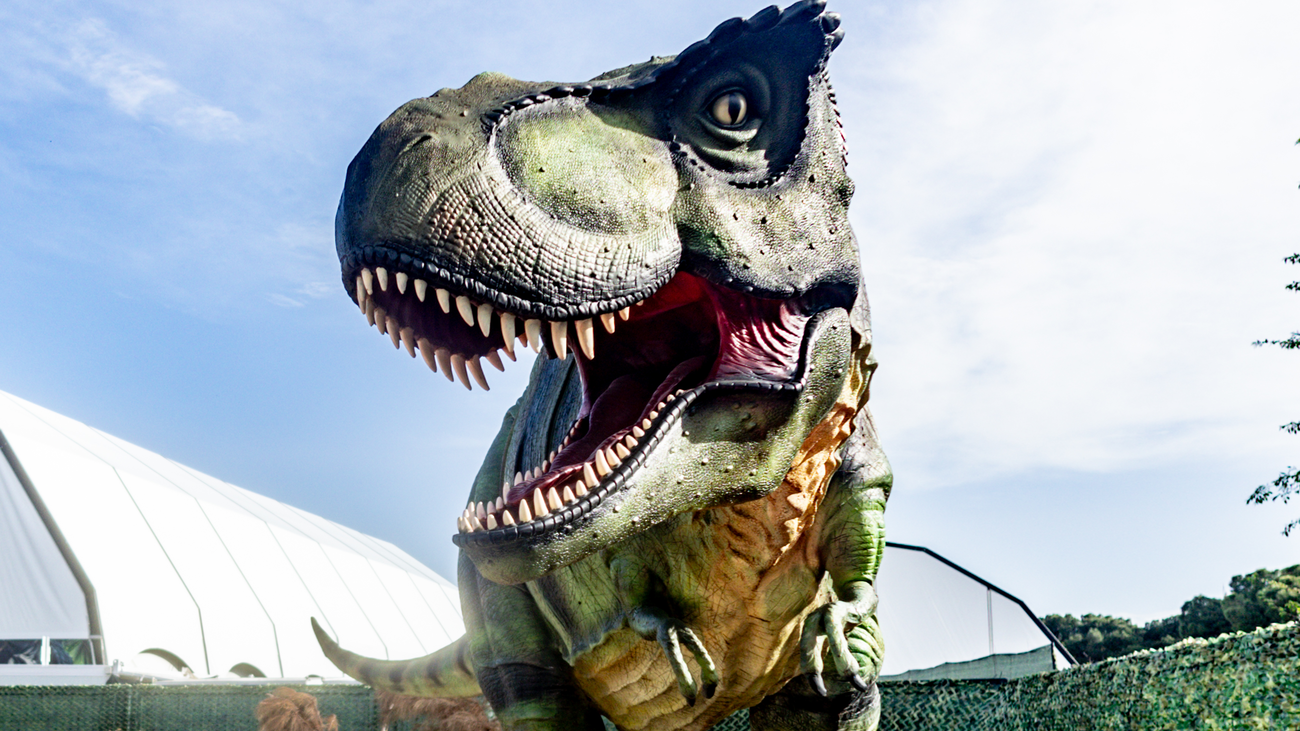 Dinosaurio en una exposición