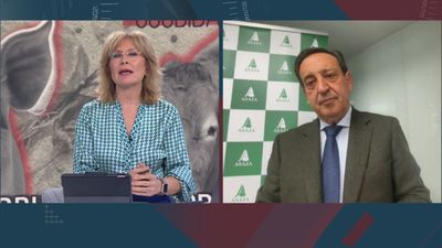 Asaja reitera que "no hay peligro para los humanos" con la peste porcina: "No hay ningún riesgo"