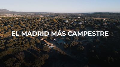 Enamorados de Madrid: campestre