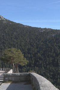 Una ruta otoñal en bicicleta eléctrica por el Valle de la Fuenfría