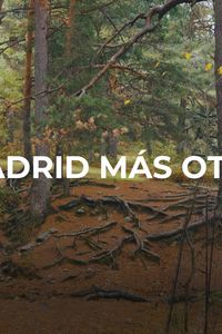 Enamorados de Madrid: otoñal