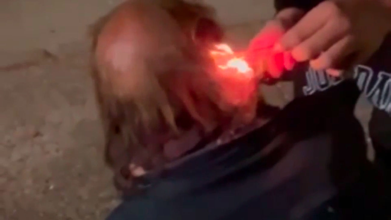 Investigan a dos menores por quemar el pelo a un indigente en Benacazón (Sevilla)