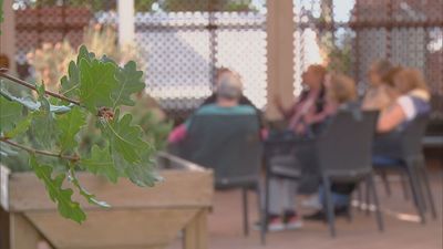 Cómo tratar los problemas de salud mental en la tercera edad