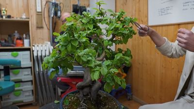 Yo vivo en... Mi negocio