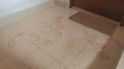 El joven parricida de San Blas sufría frecuentes brotes psicóticos