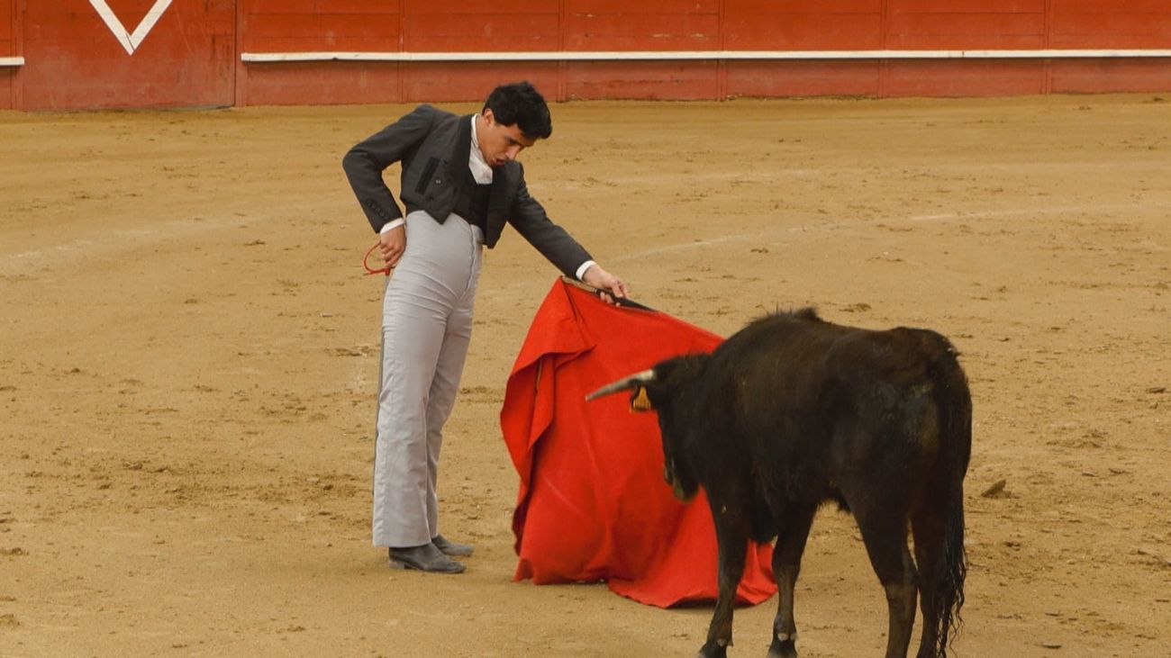 Valdemorillo acoge un tentadero público