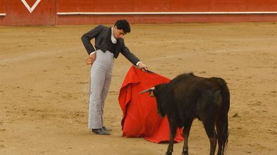Valdemorillo acoge un tentadero público