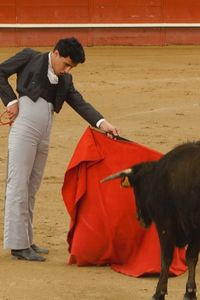 Valdemorillo acoge un tentadero público