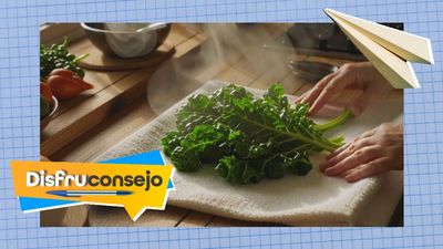 Un truco rápido para cocer las acelgas sin que pierdan su color natural