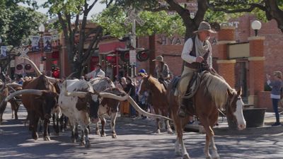 ¡Dallas! Colócate el sombrero y vive con nosotros el sueño americano