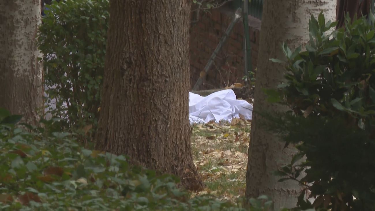 Uno de los dos niños arrojados al vacío por su madre en Ciudad Lineal evoluciona bien