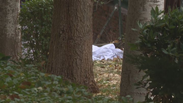 Uno de los dos niños arrojados al vacío por su madre en Ciudad Lineal evoluciona bien