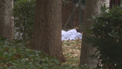 Uno de los dos niños arrojados al vacío por su madre en Ciudad Lineal evoluciona bien