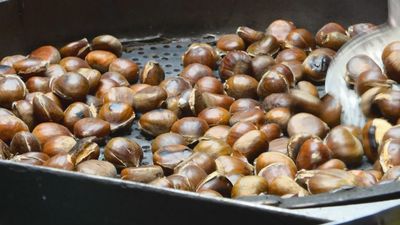 Las castañas: más de moda que nunca