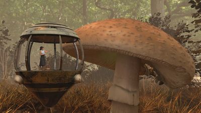 Curiosidades sobre las setas que deberías saber