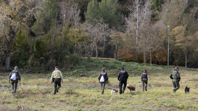 Se intensifican los controles por la peste porcina en Cataluña