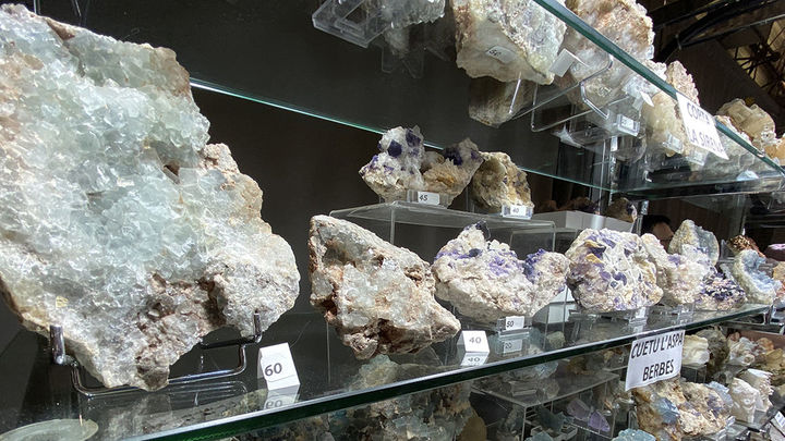 Feria Natura 2025 / TELEMADRID