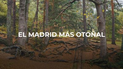Enamorados de Madrid: otoñal