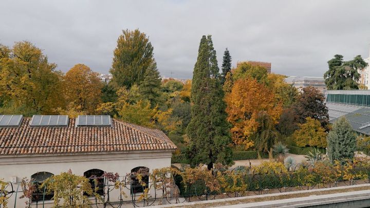 El Real Jardín Botánico, donde ciencia y naturaleza florecen juntos