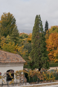 El Real Jardín Botánico, donde ciencia y naturaleza florecen juntos