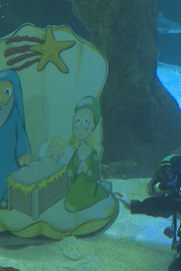 El Zoo de Madrid inaugura su tradicional belén acuático