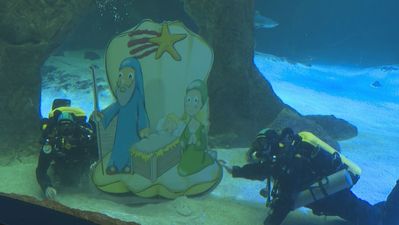 El Zoo de Madrid inaugura su tradicional belén acuático