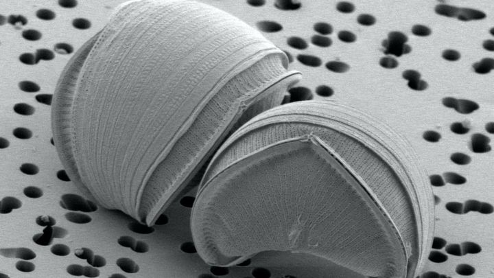 Ver lo que no se puede ver, en Alcobendas desde este sábado