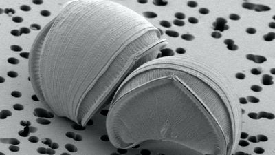 Ver lo que no se puede ver, en Alcobendas desde este sábado