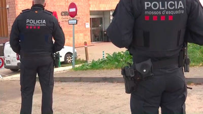 Posible origen del brote de peste porcina: se estrecha el cerco sobre un laboratorio de Barcelona