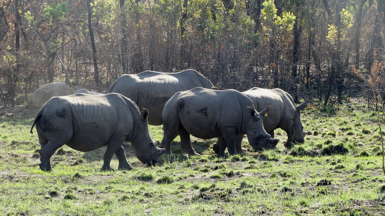 El Enfoque de Ida y Vuelta 71 - Donde celebrar la Navidad... y el invierno