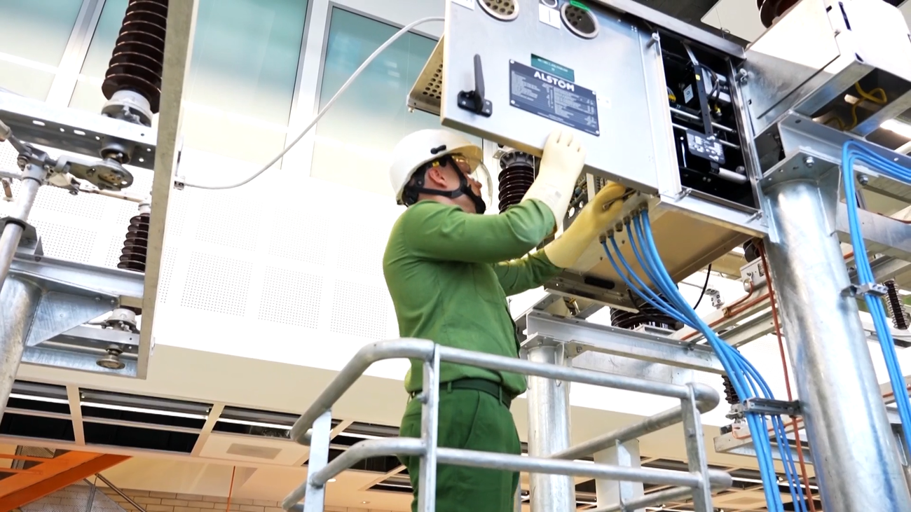 Renovables, el sector que impulsa la formación y garantiza trabajo en la próxima década