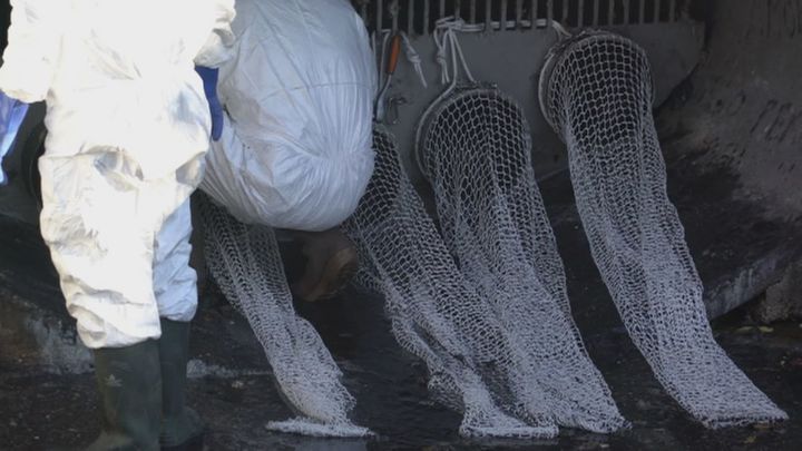 Mallas y rejas para evitar que las toallitas contaminen los ríos madrileños: "No son biodegradables"