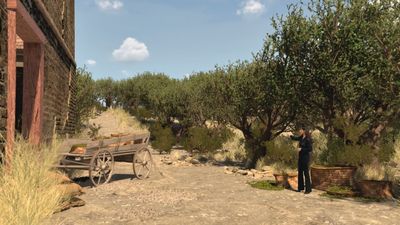 El origen del aceite de oliva