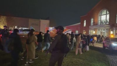 16 muertos y 29 heridos en un atentado terrorista contra la comunidad judía  en Sídney