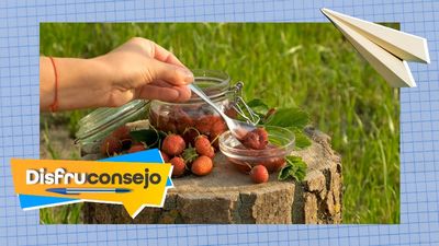 Los secretos que esconde el madroño