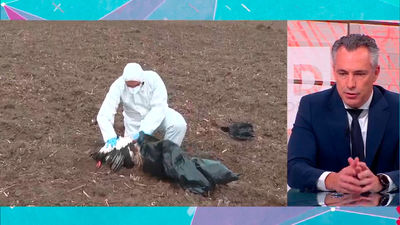 Novillo destaca que la gripe aviar  no ha afectado "a ninguna granja avícola en la Comunidad de Madrid"