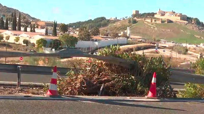 73.500 fallecidos en accidentes de tráfico en España en los últimos 25 años