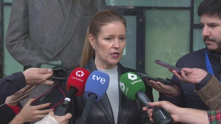 La Comunidad de Madrid exige al Gobierno que concrete "sin dilaciones" a dónde llevará a los menores solicitantes de asilo