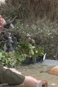 Anchuelo revive la Navidad con su XVI Belén Viviente