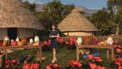 El origen de la poinsetia