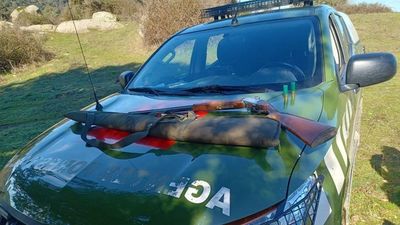 Agentes forestales interceptan en Villamanta a un cazador tras matar un ave protegida