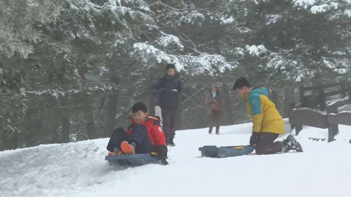 Cientos de personas disfrutan de una blanca Navidad en la sierra de Madrid
