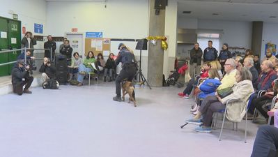 El principal consejo de la Policía Municipal a abuelos y nietos para prevenir riesgos y estafas