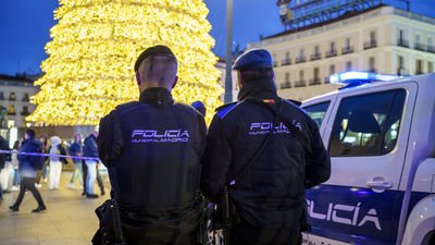 Cruce de reproches entre Cibeles y Delegación de Gobierno por la seguridad en Madrid